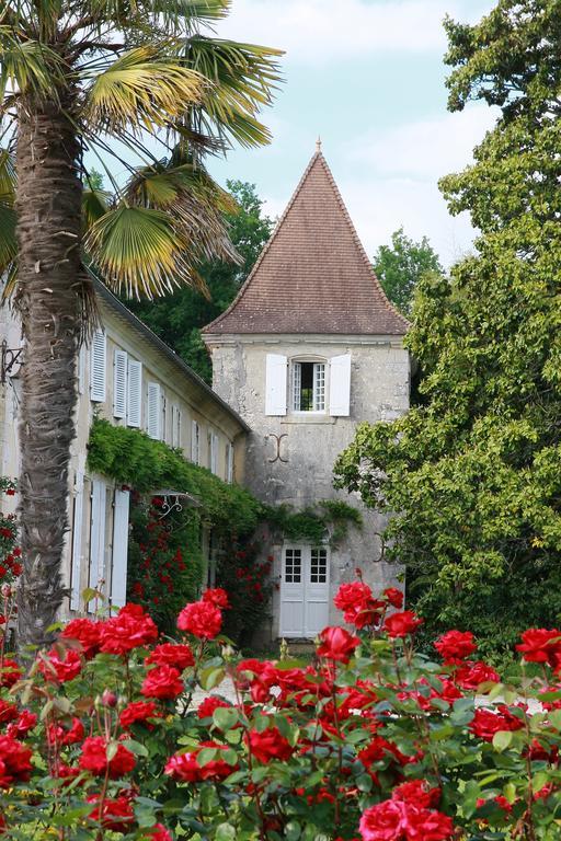 Chateau De Puyrigaud Bed & Breakfast Léoville Dış mekan fotoğraf