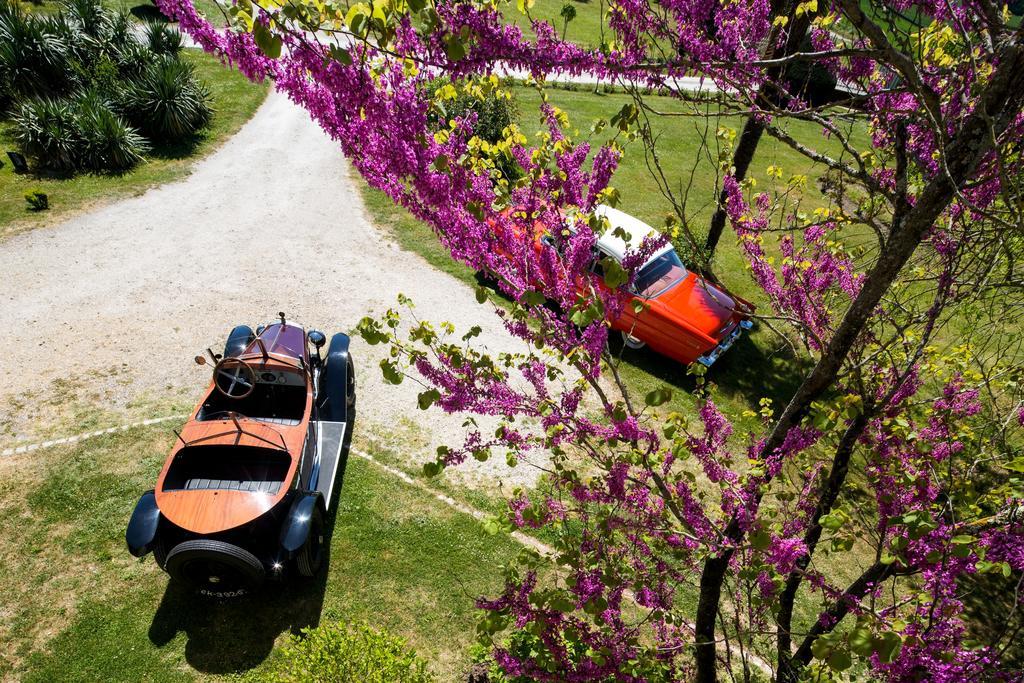 Chateau De Puyrigaud Bed & Breakfast Léoville Dış mekan fotoğraf