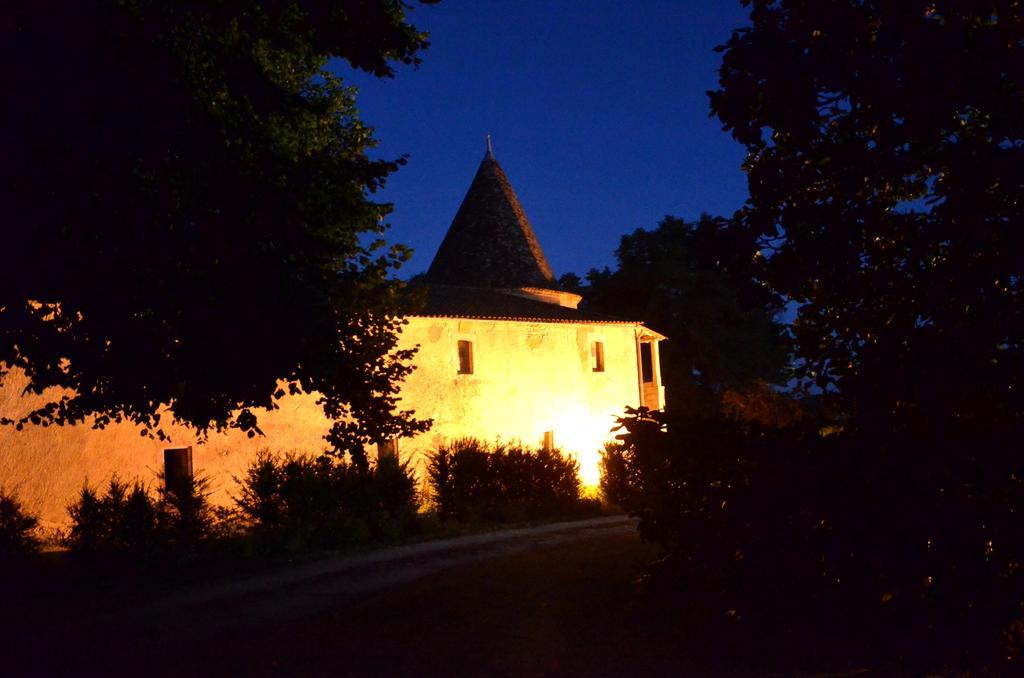 Chateau De Puyrigaud Bed & Breakfast Léoville Dış mekan fotoğraf